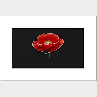 Mohn Posters and Art